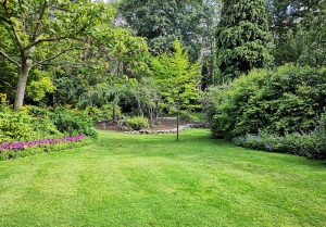 Optimiser l'expérience du jardin à Bellou-le-Trichard